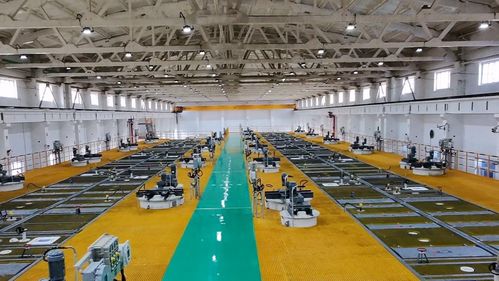 十六個季度的奮進答卷 金昌市以新能源技術開發驅動經濟社會高質量發展紀實